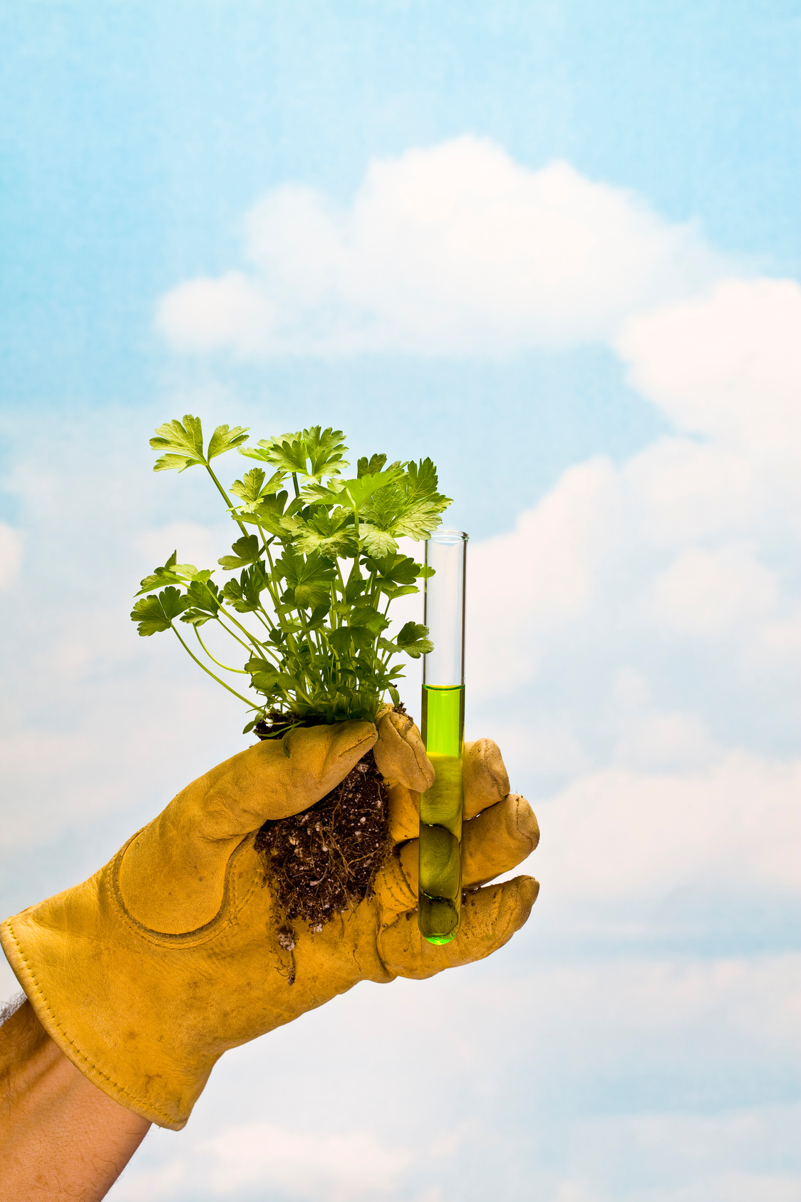 Science and Nature